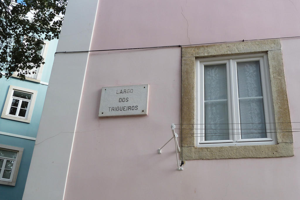 Dreaming Lisbon - Trigueiros Apartment ภายนอก รูปภาพ